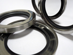 PTFE Rotary Shaft Seal